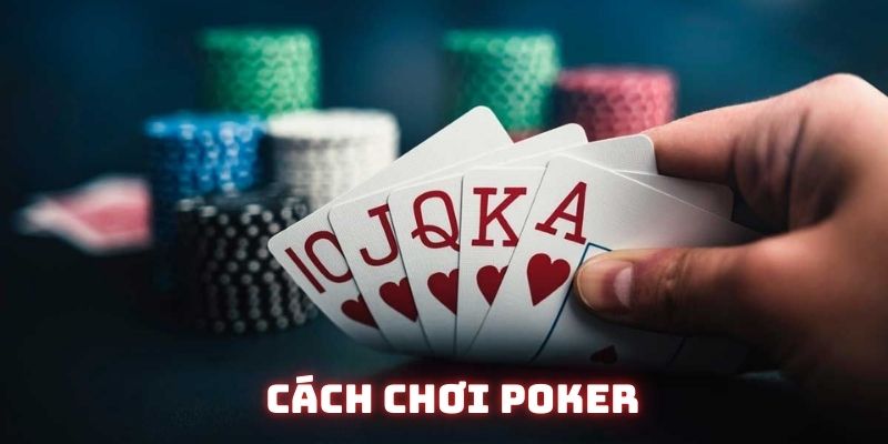 ảnh đại diện bài viết cách chơi poker