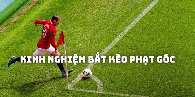 kinh nghiệm bắt kèo phạt góc